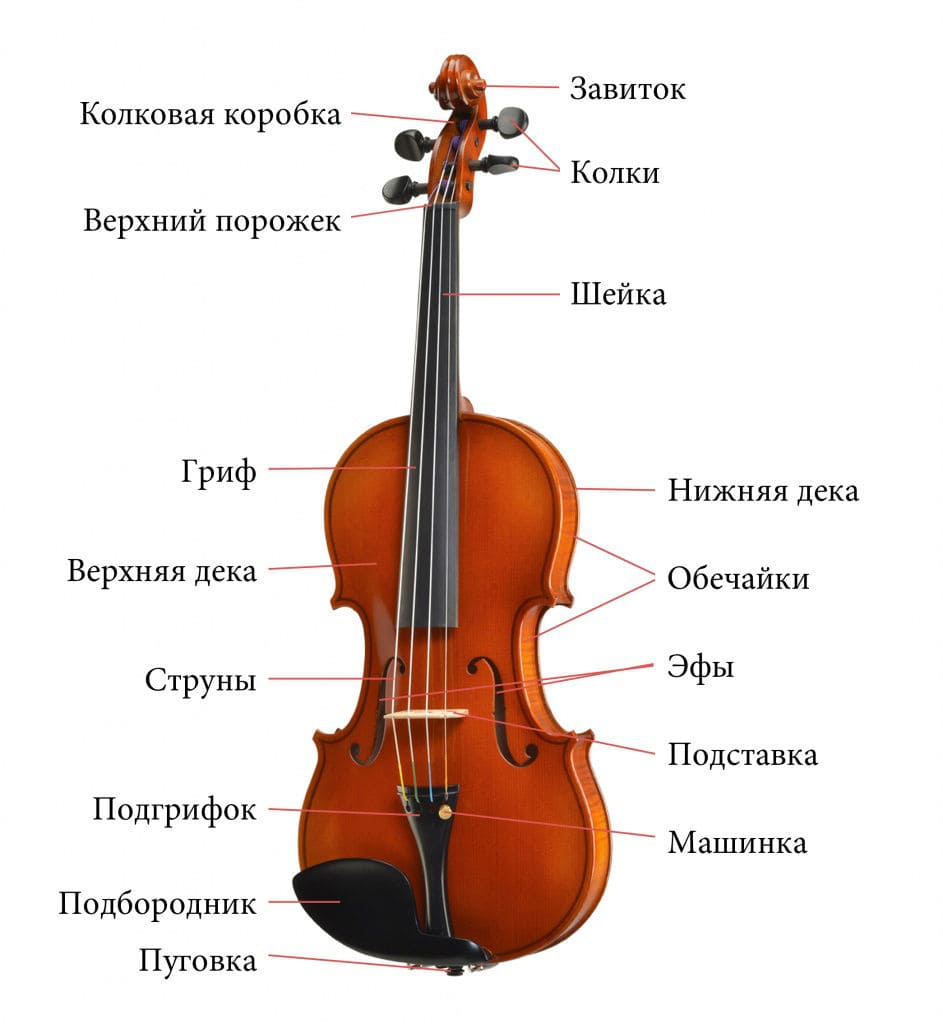 Название частей скрипки